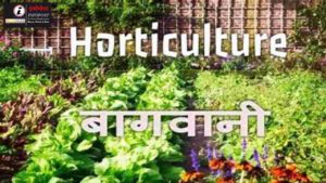 Horticulture in India